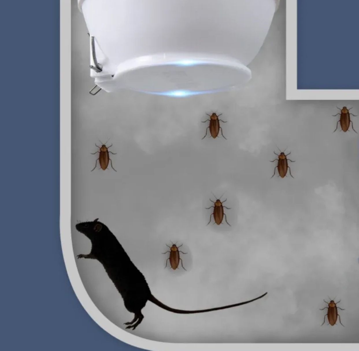 Squatting Toilet Pan Cover, Universal Squat Toilet Lid, Durable Prevent Sewage, WC Toilet Hole Cover Squatting Toilet Pan Cover, Universal Squat Toilet Lid, Durable Prevent Sewage, WC Toilet Hole Cover